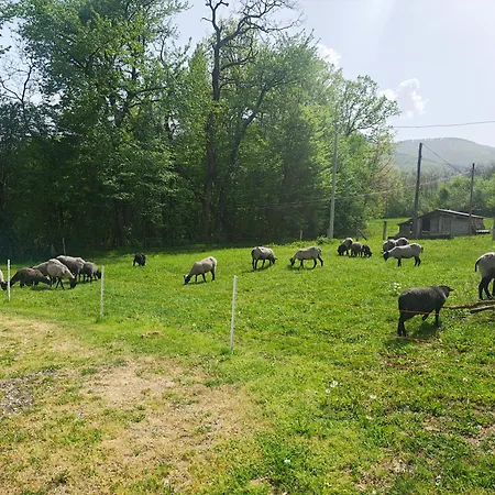 Seoska Bajka Doboj